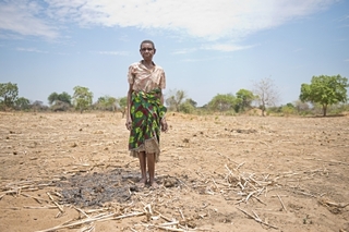 干ばつの被害が広がるマラウイの大地©IFRC
