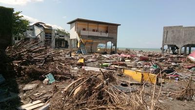 津波の被害を受けた沿岸地帯