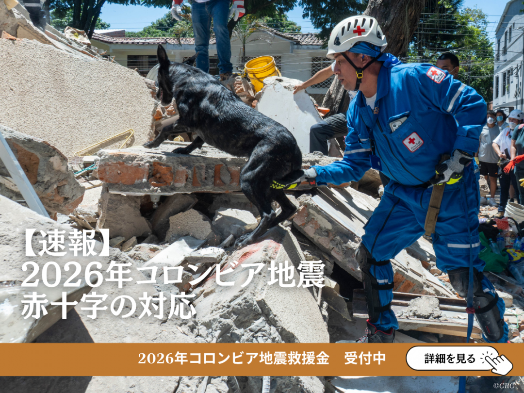 Work by Japanese Red Cross Society